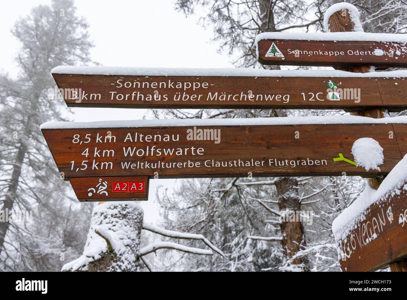 Winterwanderung um den Oderteich Bilder aus dem winterlichen Nationalpark Harz Niedersachsen Stockfoto