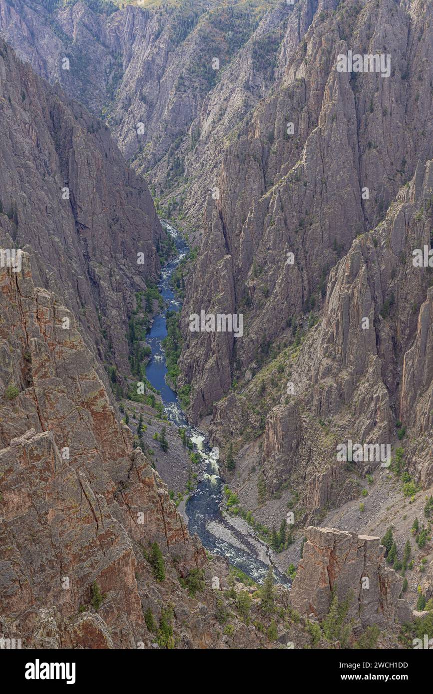 Der Gunnison River presste zwischen den Wänden des Canyons bei kniender Camel View am Nordrand Stockfoto