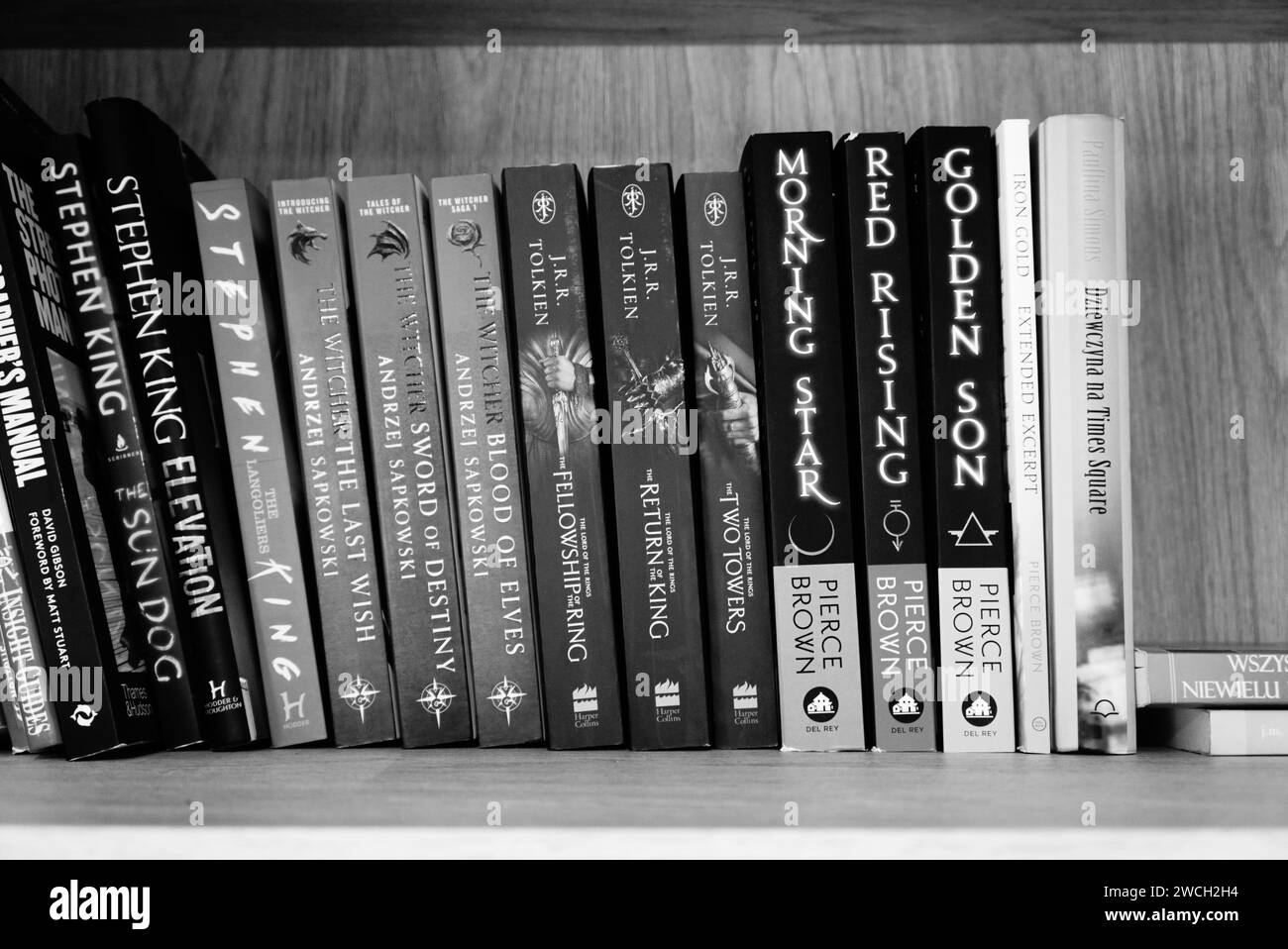 Eine Graustufenaufnahme einer Sammlung von Büchern, die ordentlich in einem Bücherregal angeordnet sind Stockfoto
