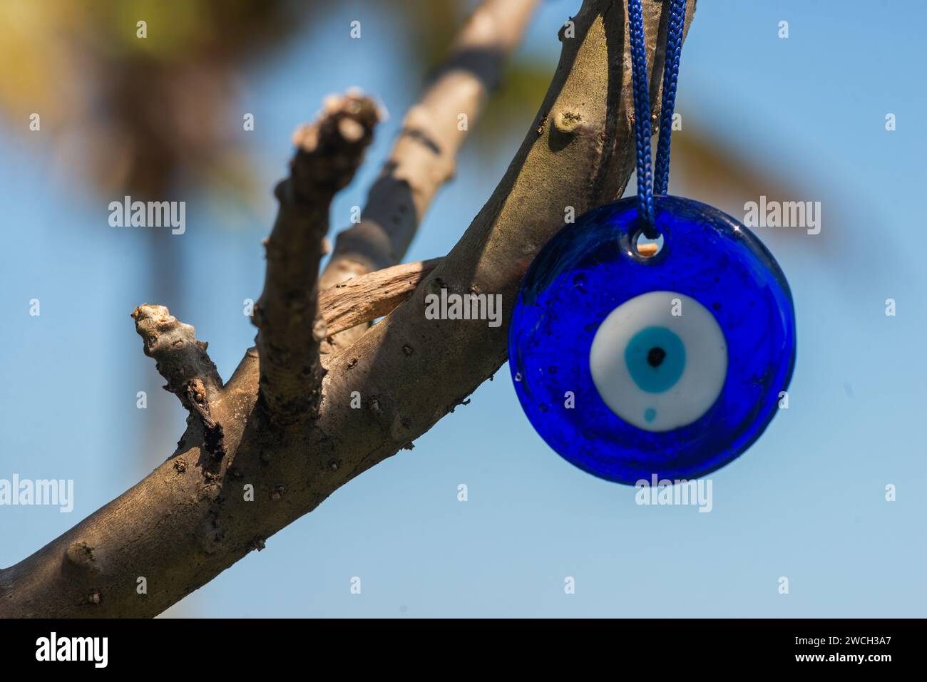 Eine Nahaufnahme eines blauen bösen Auges, das an einem Baumzweig hängt Stockfoto