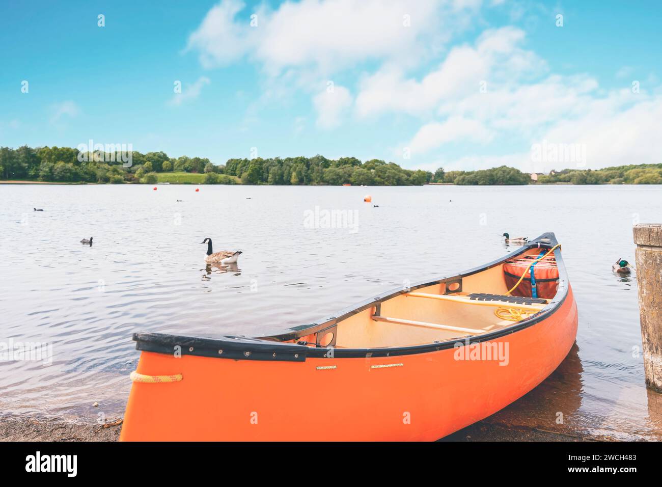 Ein orangenes Kanu ruht an Sommertagen am Seeufer im öffentlichen Park Stockfoto