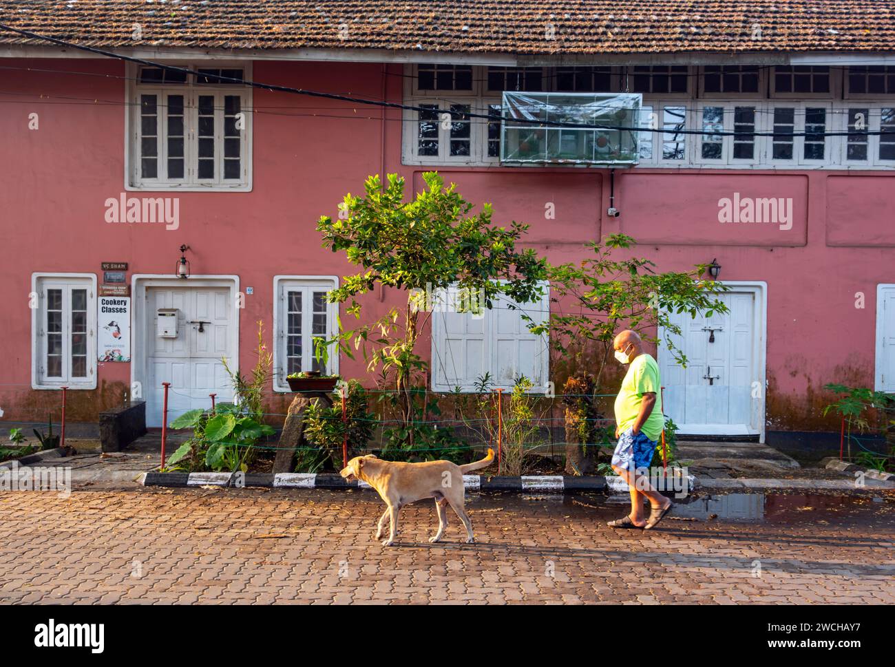 Ein Mann geht mit einem Hund vor dem farbenfrohen Haus, Fort Kochi, Cochin, Kerala, Indien Stockfoto
