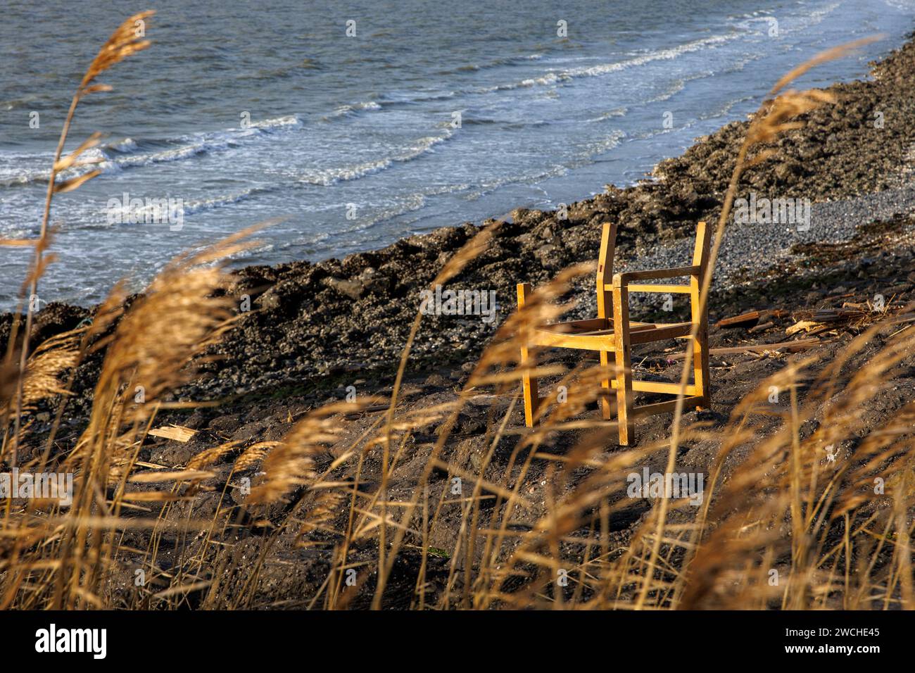 Ein alter Stuhl steht am Ufer der Scheldmündung im Hafen von Vlissingen, Walcheren, Zeeland, Niederlande. ein alter Stuhl steht am Ufer d Stockfoto