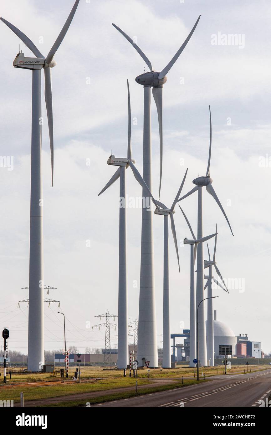 Windturbinen im Hafen von Vlissingen, im Hintergrund das Kernkraftwerk Borssele, Walcheren, Zeeland, Niederlande. Windraeder im Hafen V Stockfoto