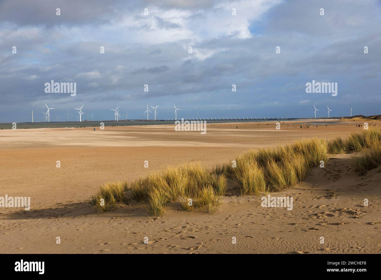 Der Strand am Vrouwenpolder auf Walcheren, im Hintergrund die östliche Scheldsperre und Windräder, Zeeland, Niederlande. Der Strand bei Vrouw Stockfoto
