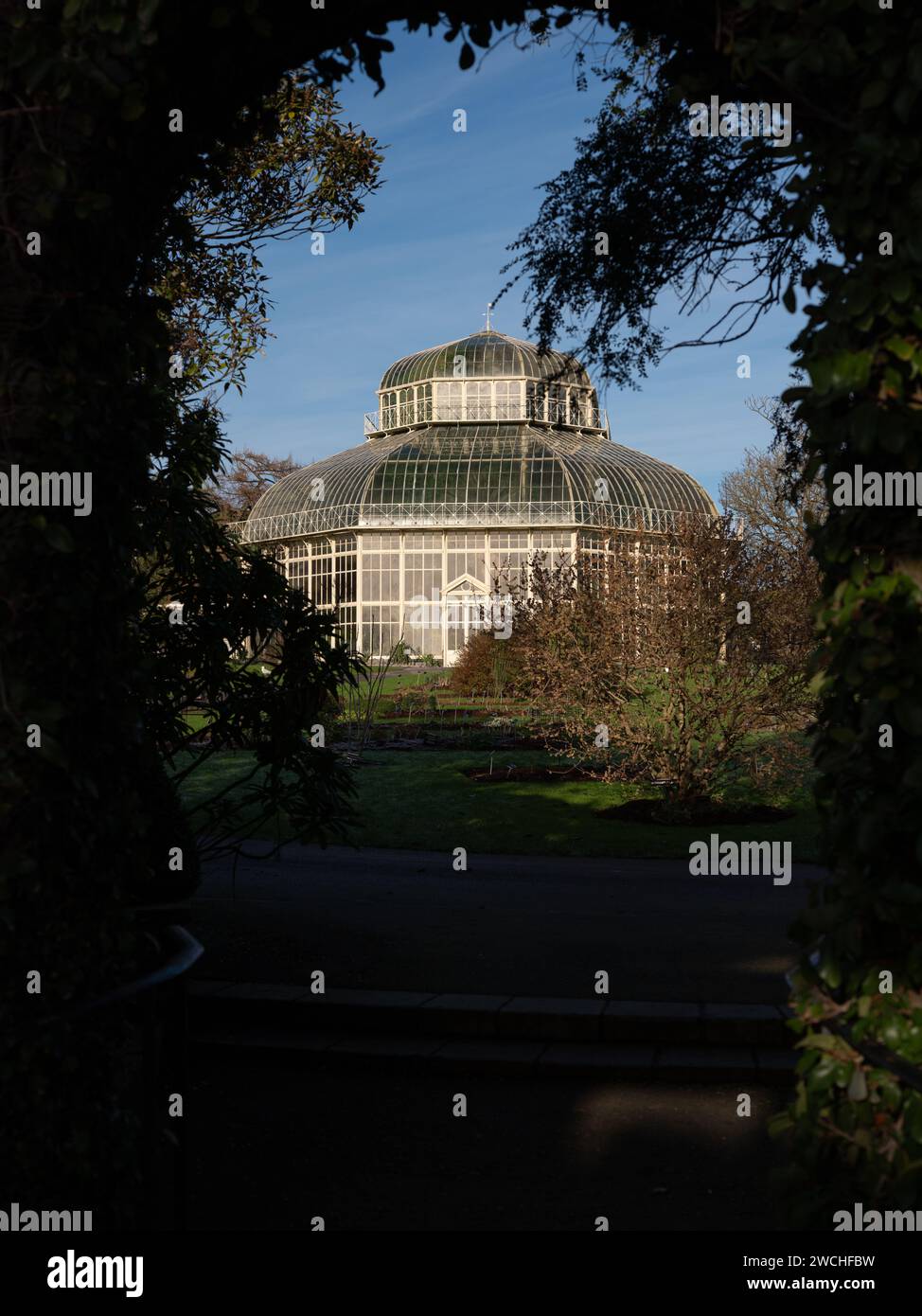 Das Great Palm House in den National Botanical Gardens of Ireland in Glasnevin, Dublin City. Stockfoto