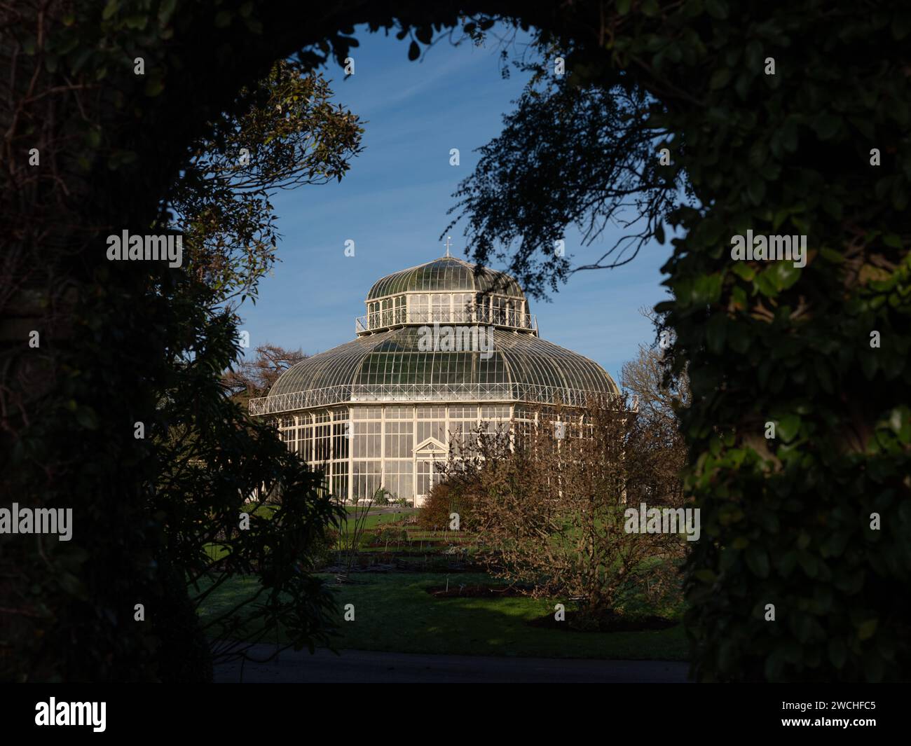 Das Great Palm House in den National Botanical Gardens of Ireland in Glasnevin, Dublin City. Stockfoto