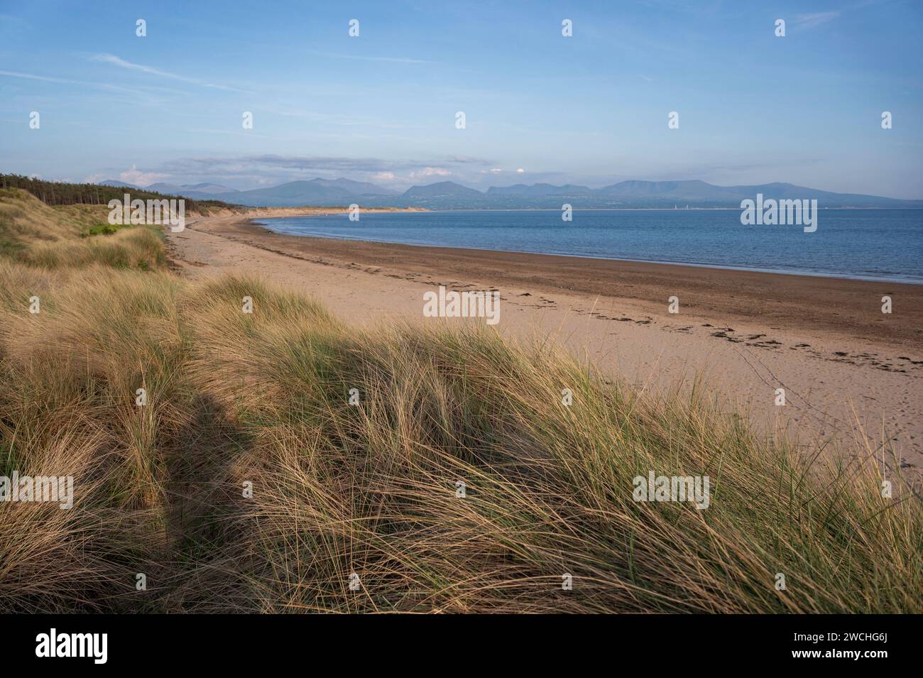 Ein heller Tag an der Küste in Ynys Llanddwyn, Angelsey, Nordwales. Auch bekannt als Newborough Beach Stockfoto