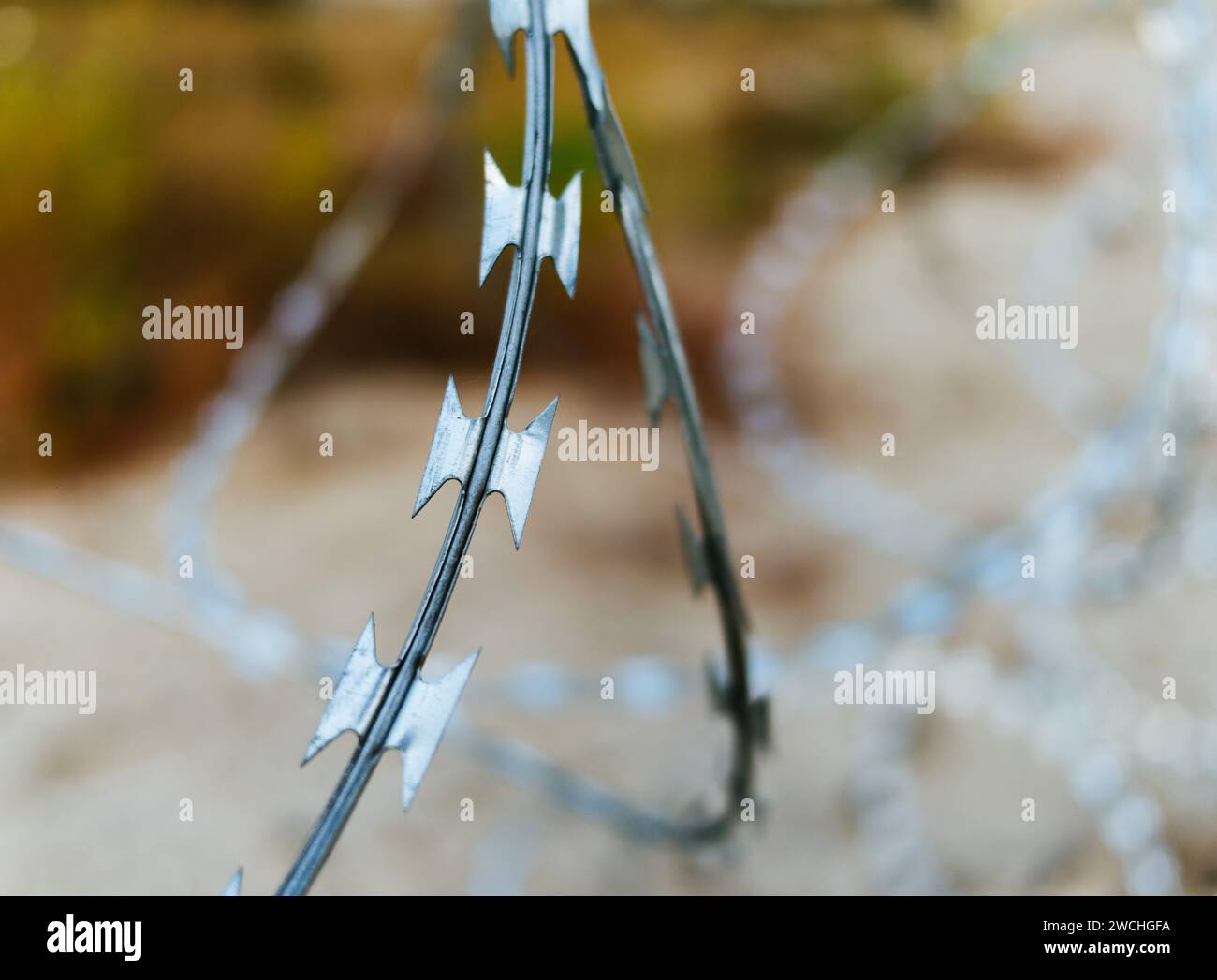 Nahaufnahme eines Stacheldrahtzauns. Selektiver Fokus auf Details Stockfoto