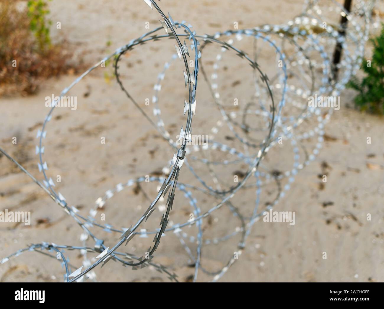 Zaun aus Stacheldraht. Hintergrund Stockfoto