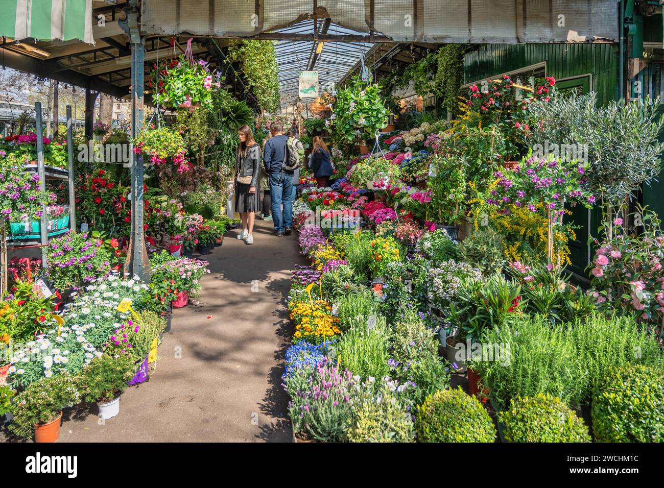 Paris, Frankreich - 6. April 2019: Viele Geschäfte und Touristen auf aux Fleurs reine Elizabeth II Blumenmarkt Stockfoto
