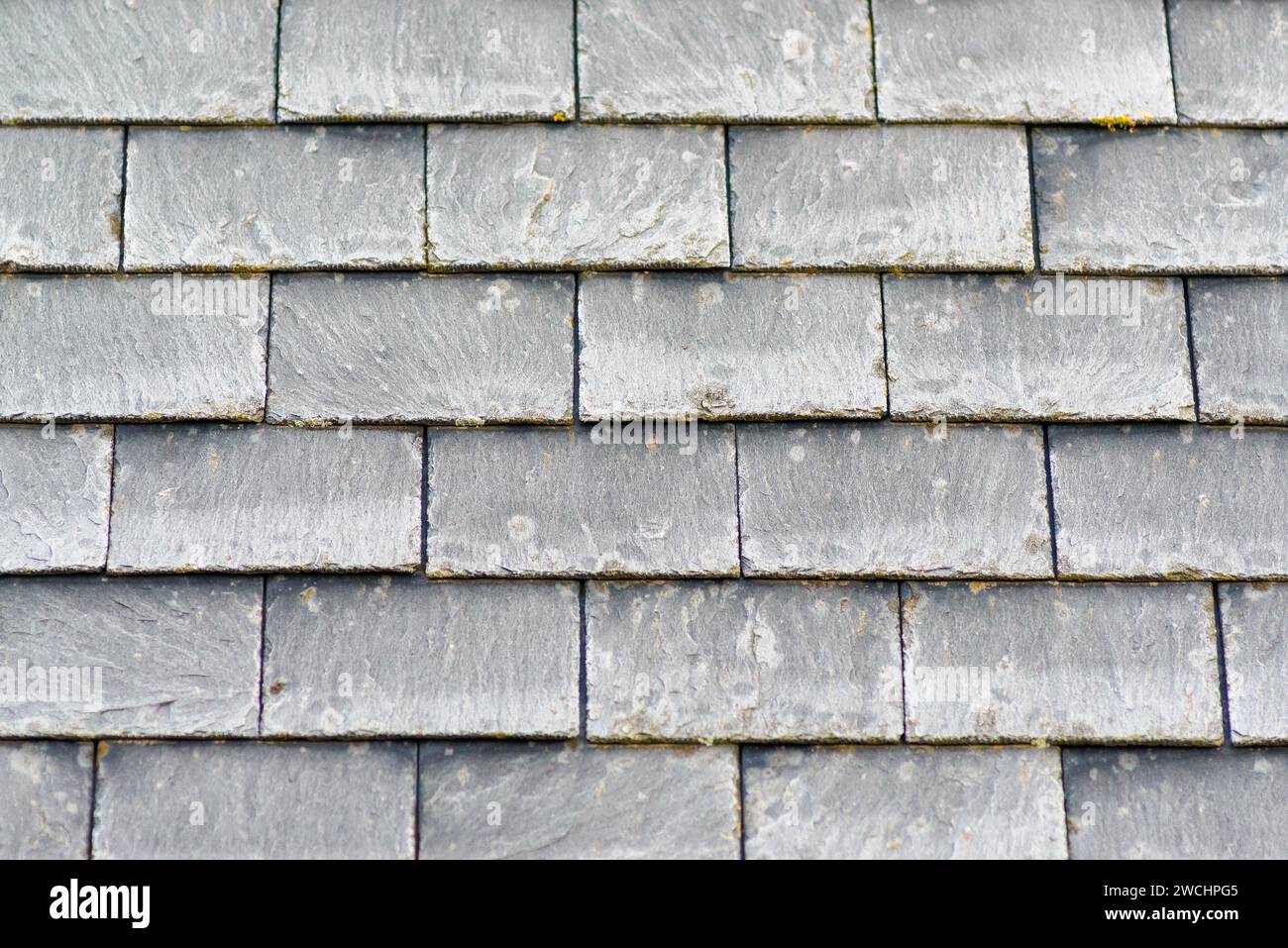 Schiefer-Dachziegel mit Frost bedeckt Stockfoto