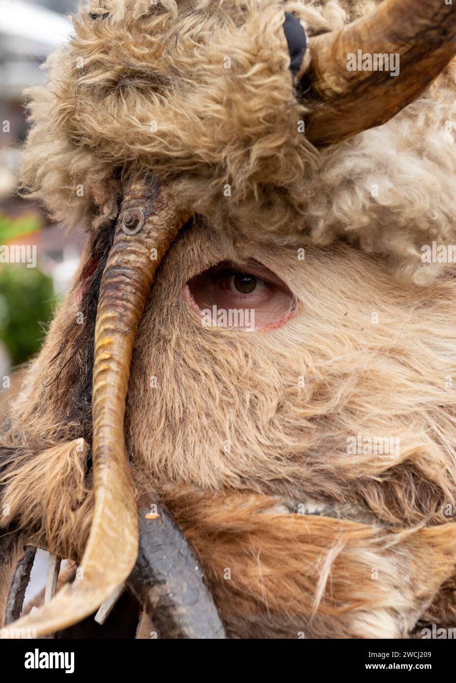 Augendetail durch Tiermaske beim Surva International Maskerade and Mummers Festival in Pernik, Bulgarien, Osteuropa, Balkan, EU Stockfoto