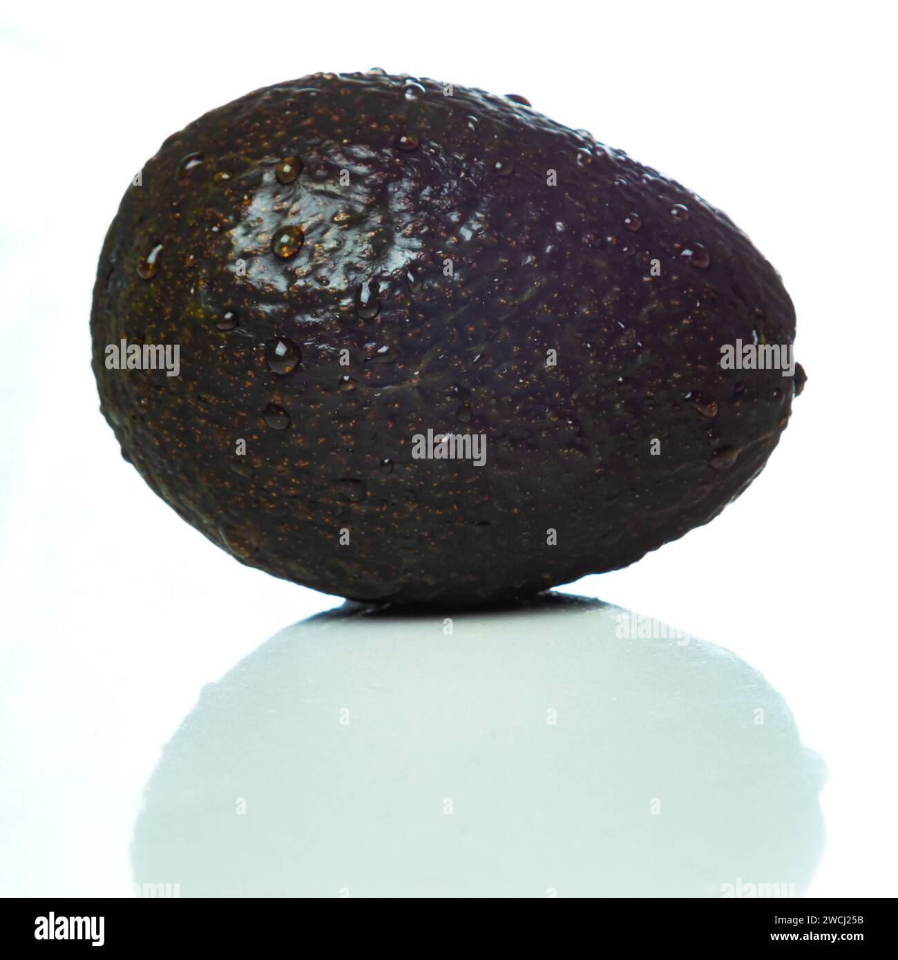 Eine isolierte, reife Avocado mit Wassertropfen auf der grünen Haut Stockfoto