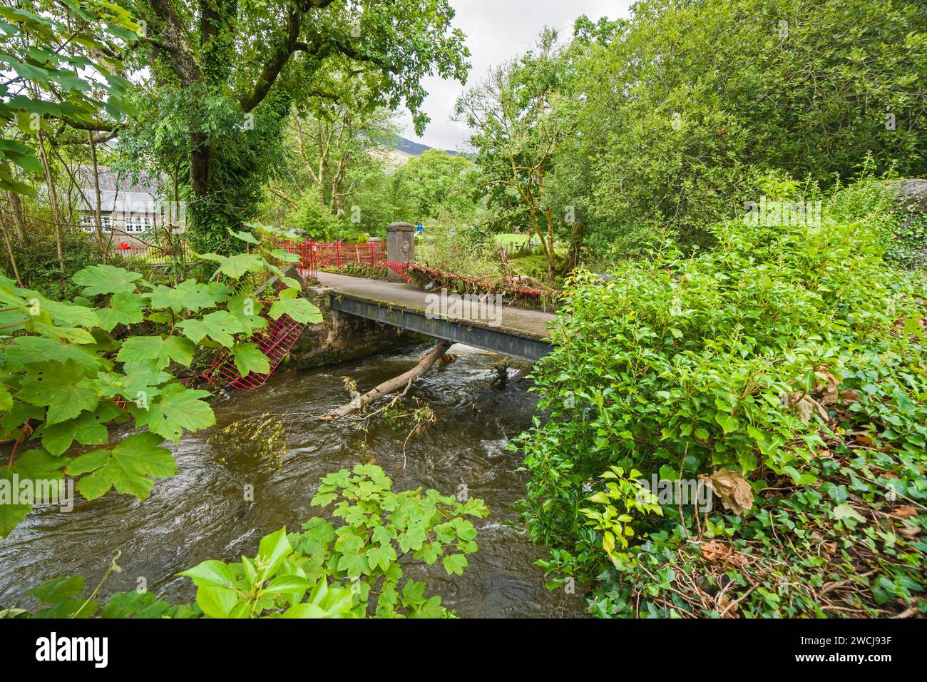Sturmschäden durch gefallenen Baum verursacht Fußbrücke über den Fluss Colwyn, Beddgelert North Wales Großbritannien. August 2020 Stockfoto