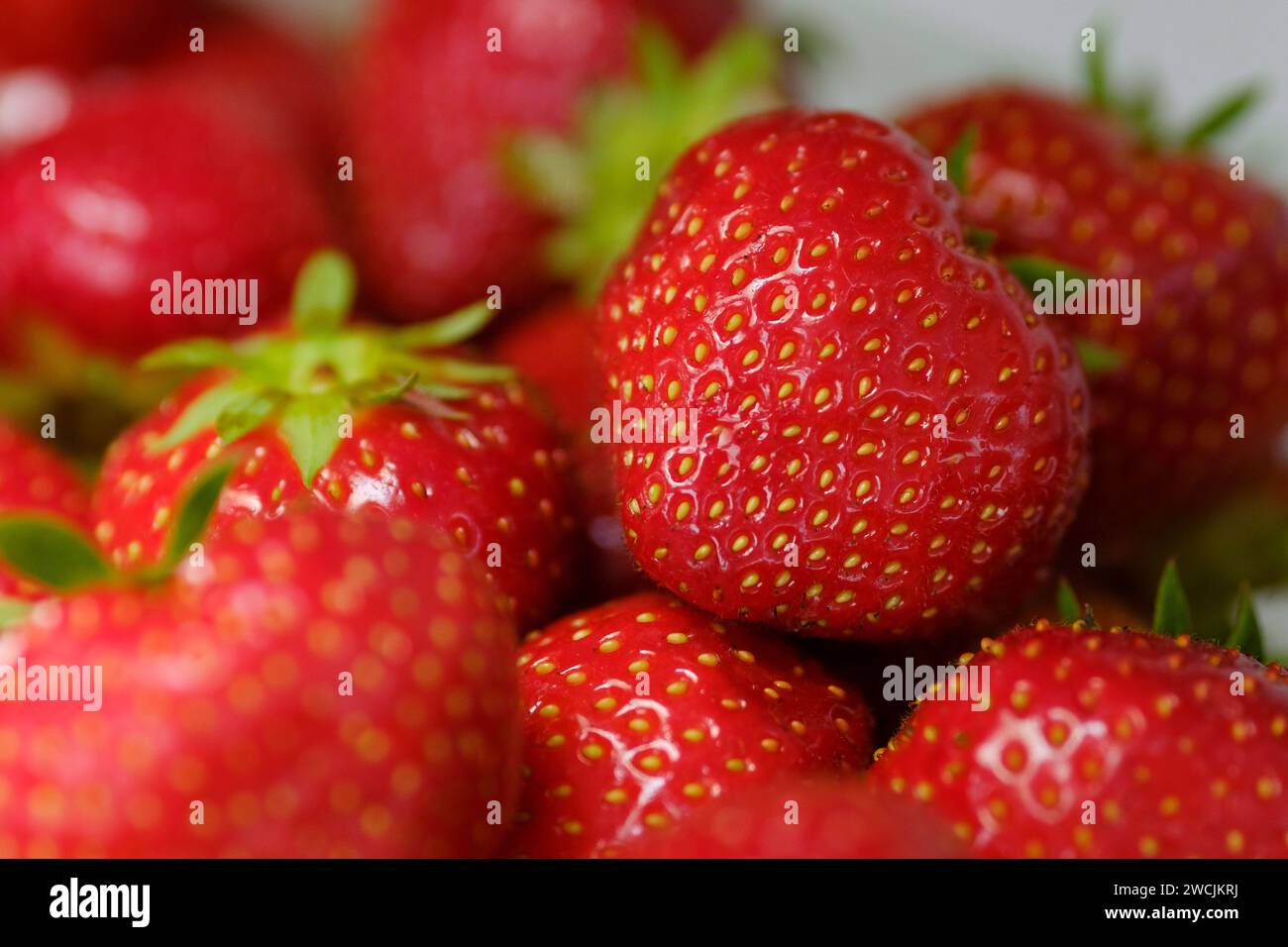 Erdbeere Stockfoto