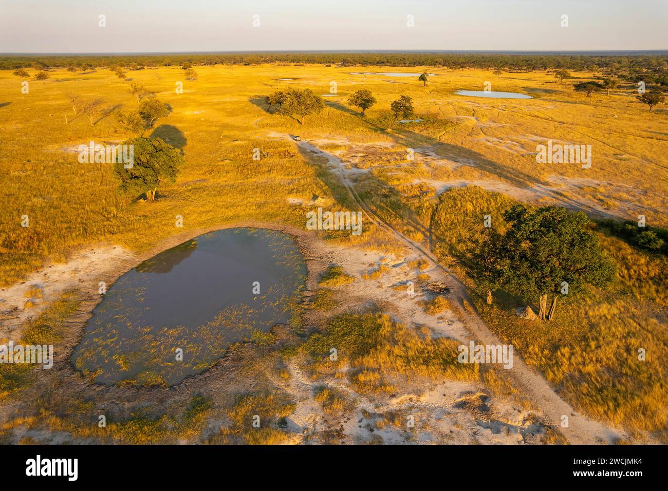 Ein Blick aus der Vogelperspektive auf Ngweshla Pan, Hwange Nationalpark, Simbabwe. Stockfoto