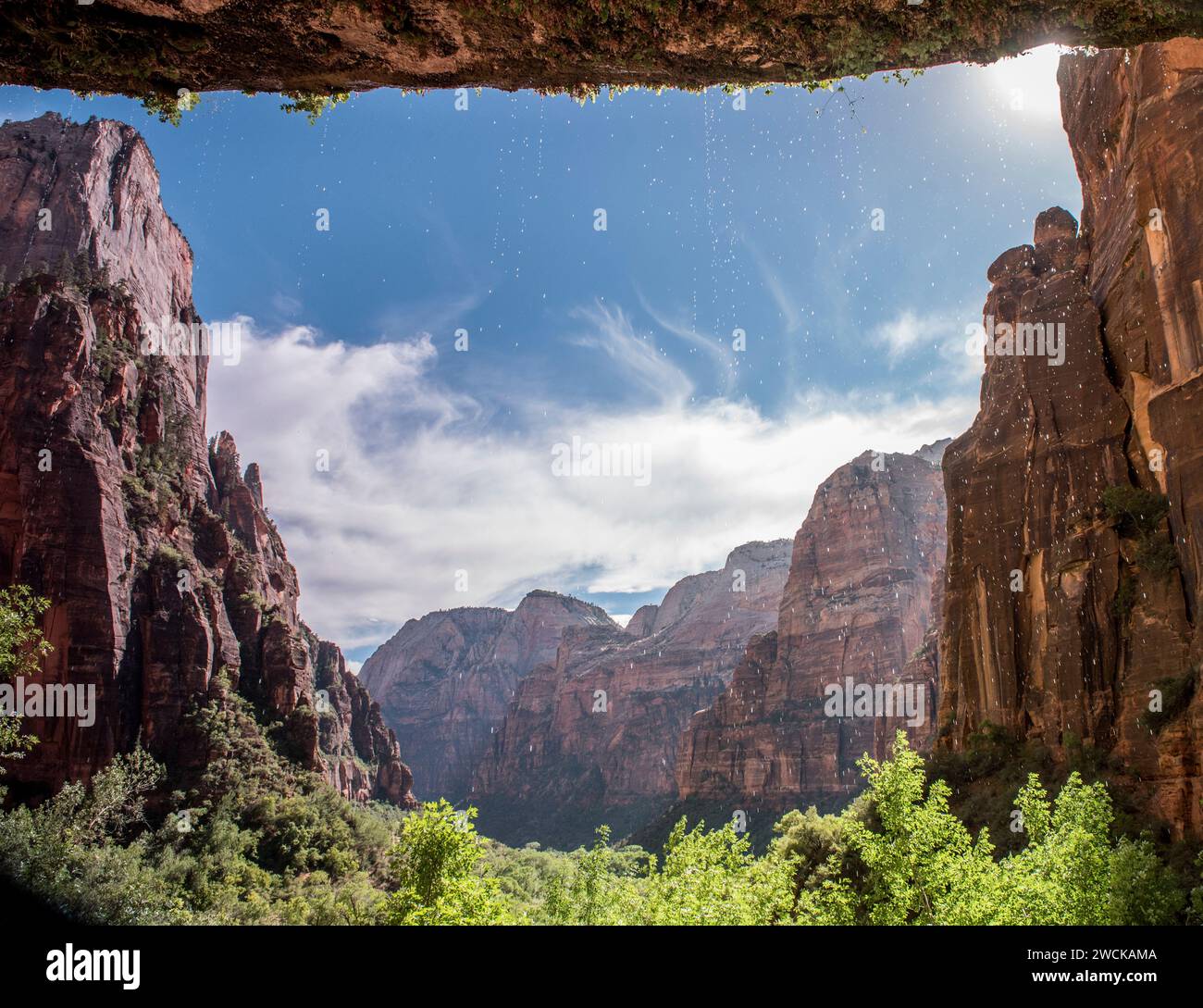 Ein atemberaubender Blick auf die Wüstenlandschaft von Zion Stockfoto