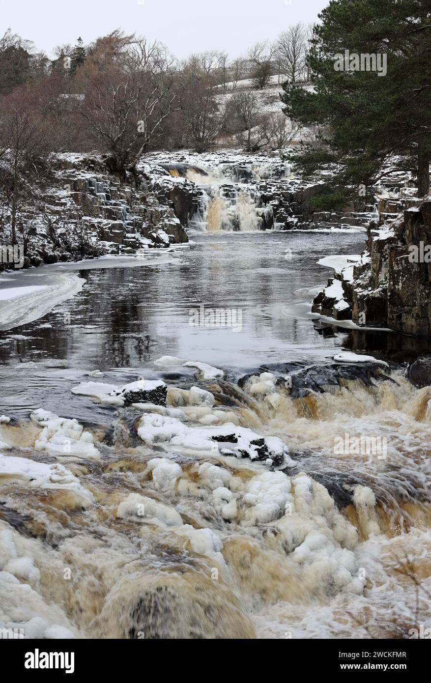 Bowlees, Teesdale, County Durham, Großbritannien. Januar 2024. Wetter in Großbritannien. Winterliche Szenen auf dem Fluss Tees bei Low Force heute Nachmittag, während Schnee und Eis Teesdale, County Durham, Nordostengland beeinflussen. Quelle: David Forster/Alamy Live News Stockfoto