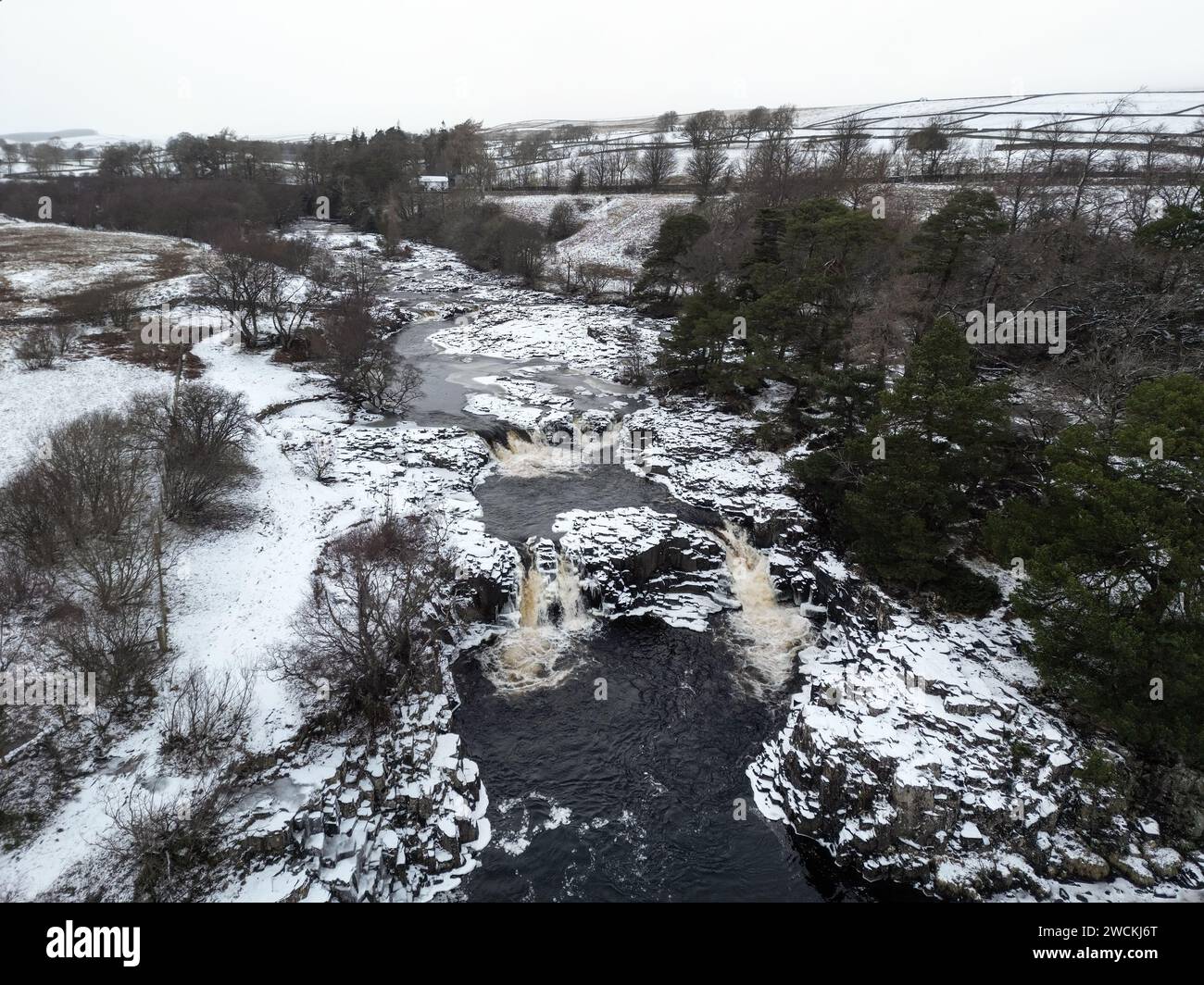 Bowlees, Teesdale, County Durham, Großbritannien. Januar 2024. Wetter in Großbritannien. Winterliche Szenen auf dem Fluss Tees bei Low Force heute Nachmittag, während Schnee und Eis Teesdale, County Durham, Nordostengland beeinflussen. Quelle: David Forster/Alamy Live News Stockfoto