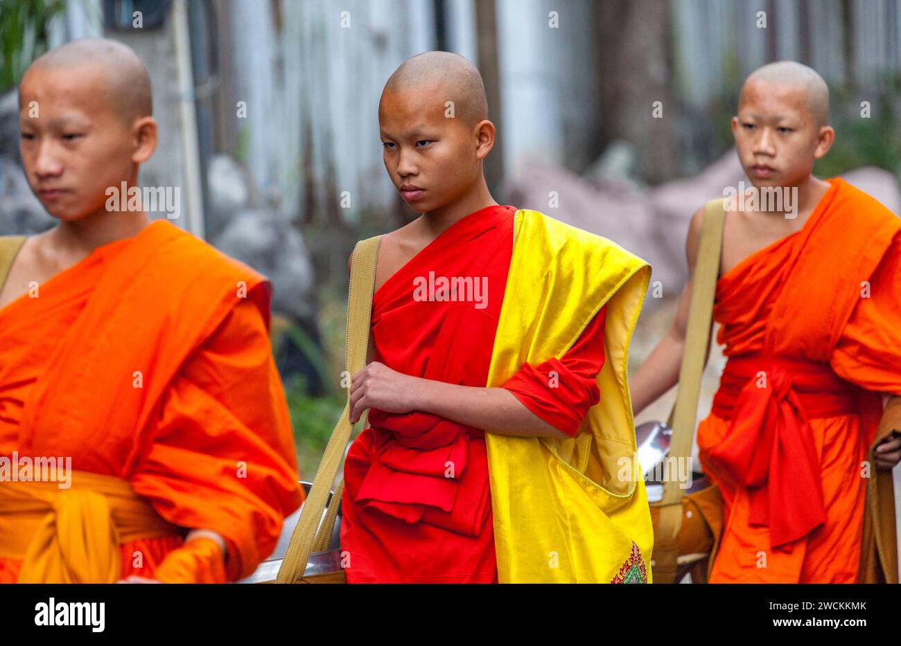 Frühmorgendliches Ritual der Almosengabe (Sai bat) zu einer Prozession der Mönche, Luang Prabang, Laos Stockfoto