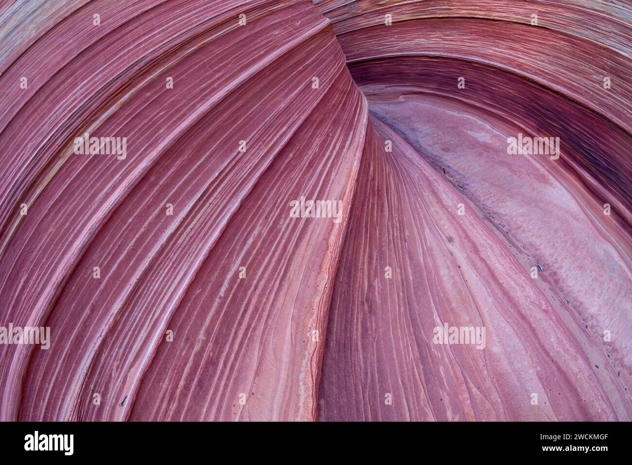 Im Sandstein, Coyote Buttes North, Vermillion Wilderness, Arizona Stockfoto