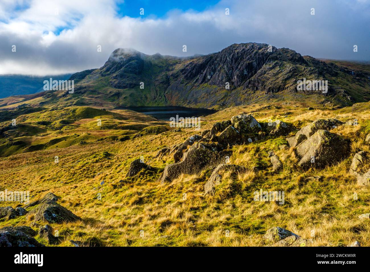 Die Langdale Pikes im Lake District National Park Stockfoto