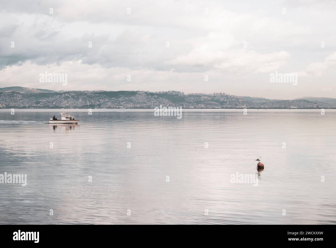 Izmit Korfezi, Izmit, Kocaeli, Türkei - 9. Januar 2024: Bay Ballet, in dem Möwen anhalten und Träume anlegen Stockfoto