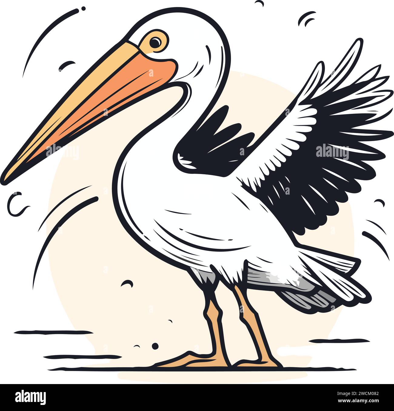 Vektorillustration eines Pelikans auf weißem Hintergrund. Handzeichnung Stock Vektor