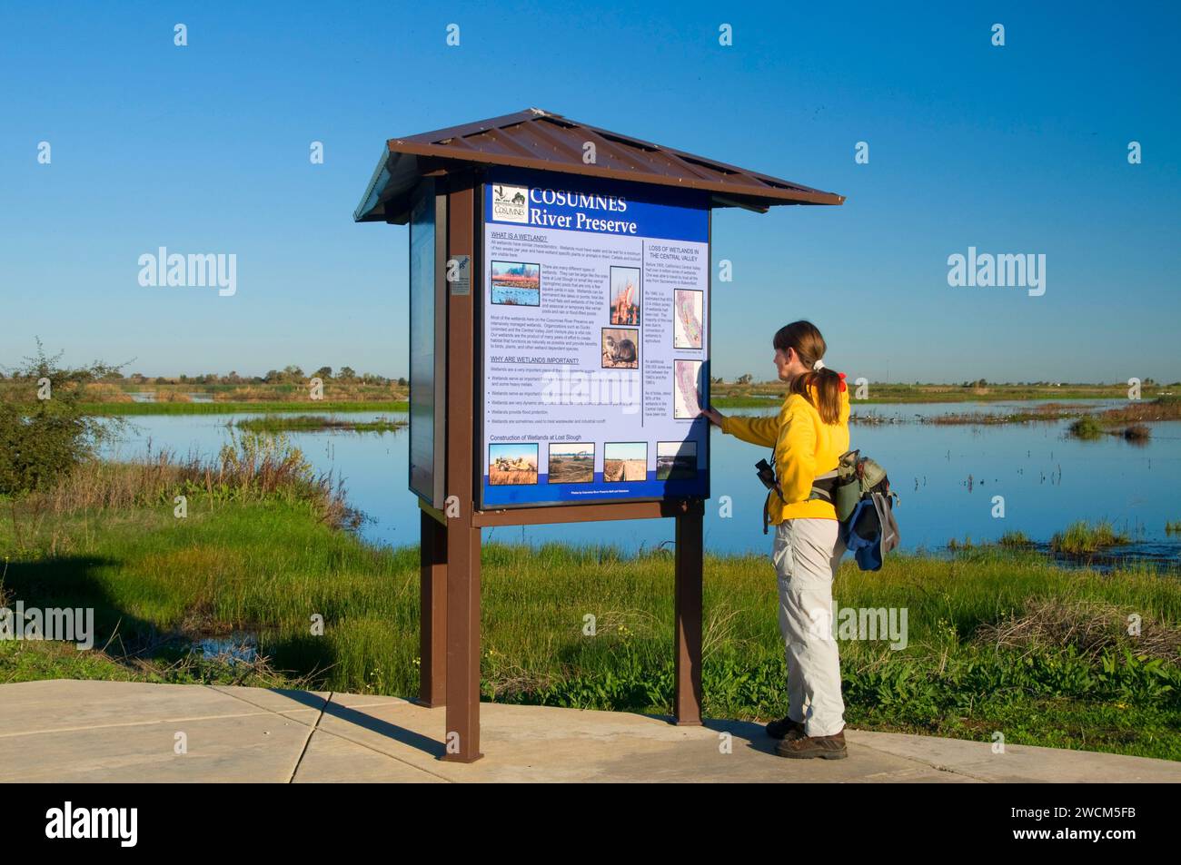 Slough Feuchtgebiete gehen Kiosk, Cosumnes River Preserve, California verloren Stockfoto