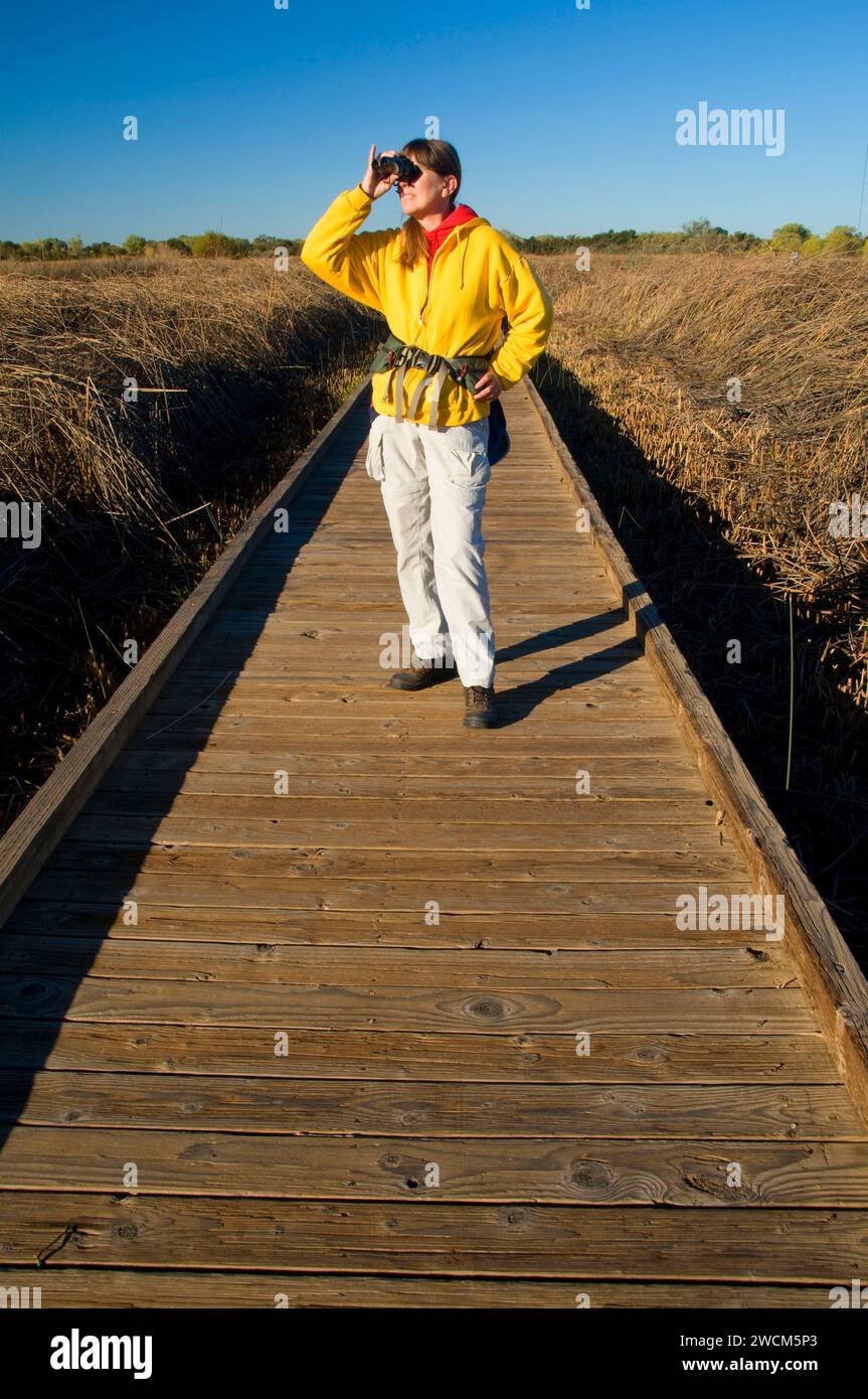 Slough Feuchtgebiete zu Fuß Promenade, Cosumnes River Preserve, California verloren Stockfoto