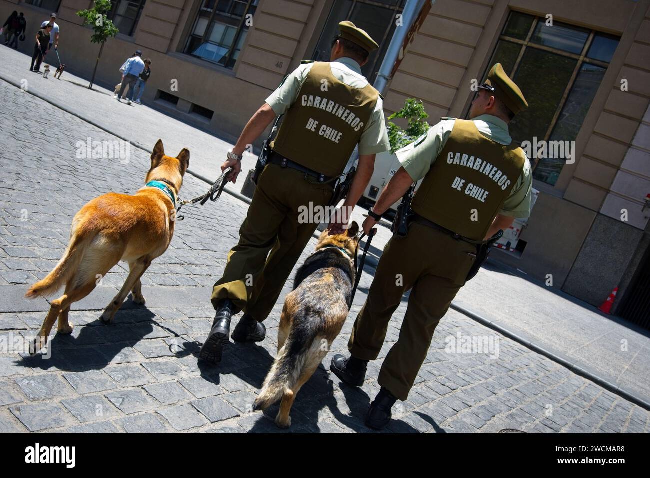 Santiago, Chile, Carabineros (chilenische Polizei) mit Diensthunden, die den La Moneda (Chiles Präsidentenpalast) bewachen Stockfoto