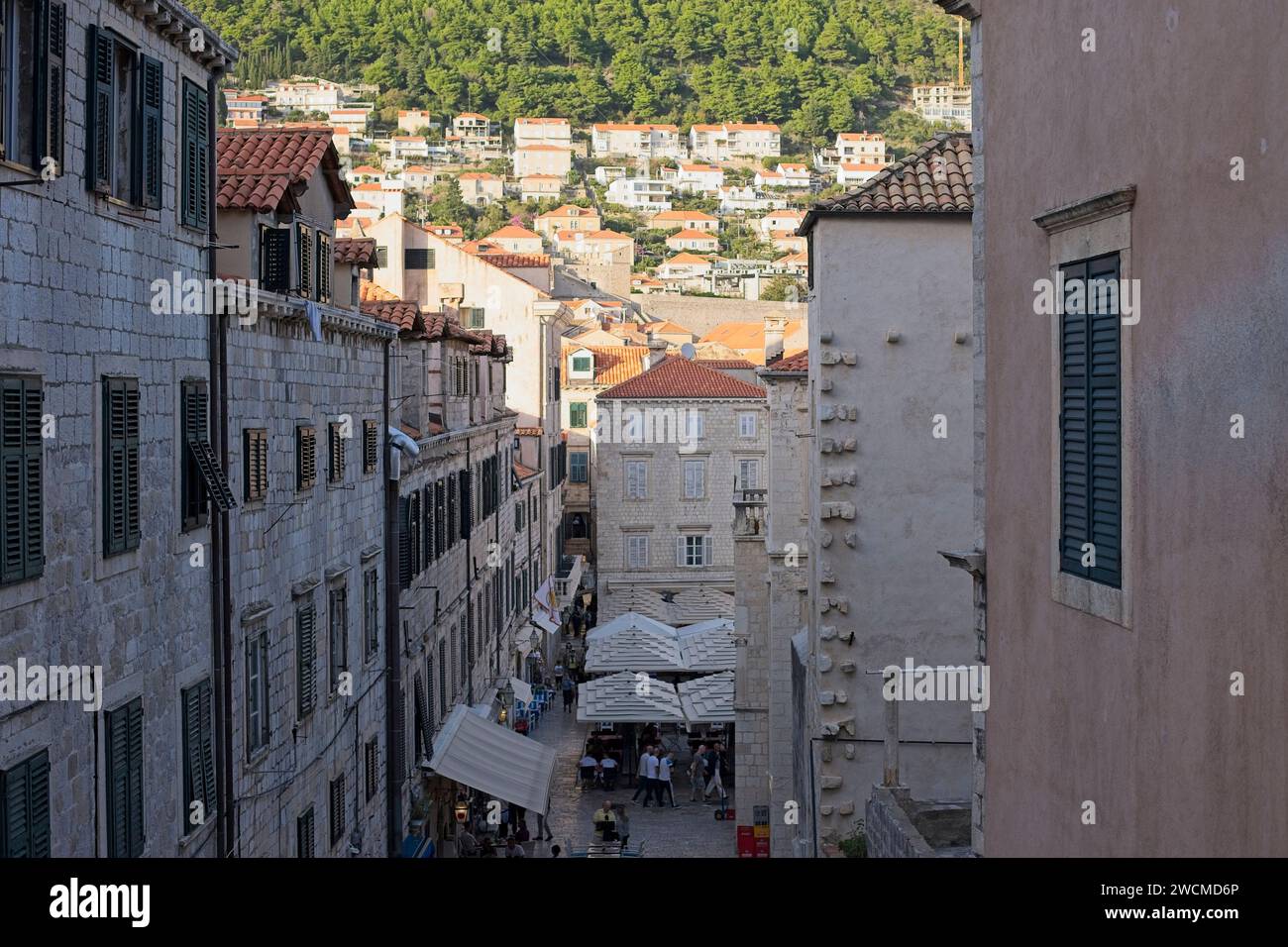 Eine lebhafte Straße schlängelt sich durch die dichten, historischen Kalksteingebäude von Dubrovnik, mit Häusern am Hügel im Hintergrund. Stockfoto