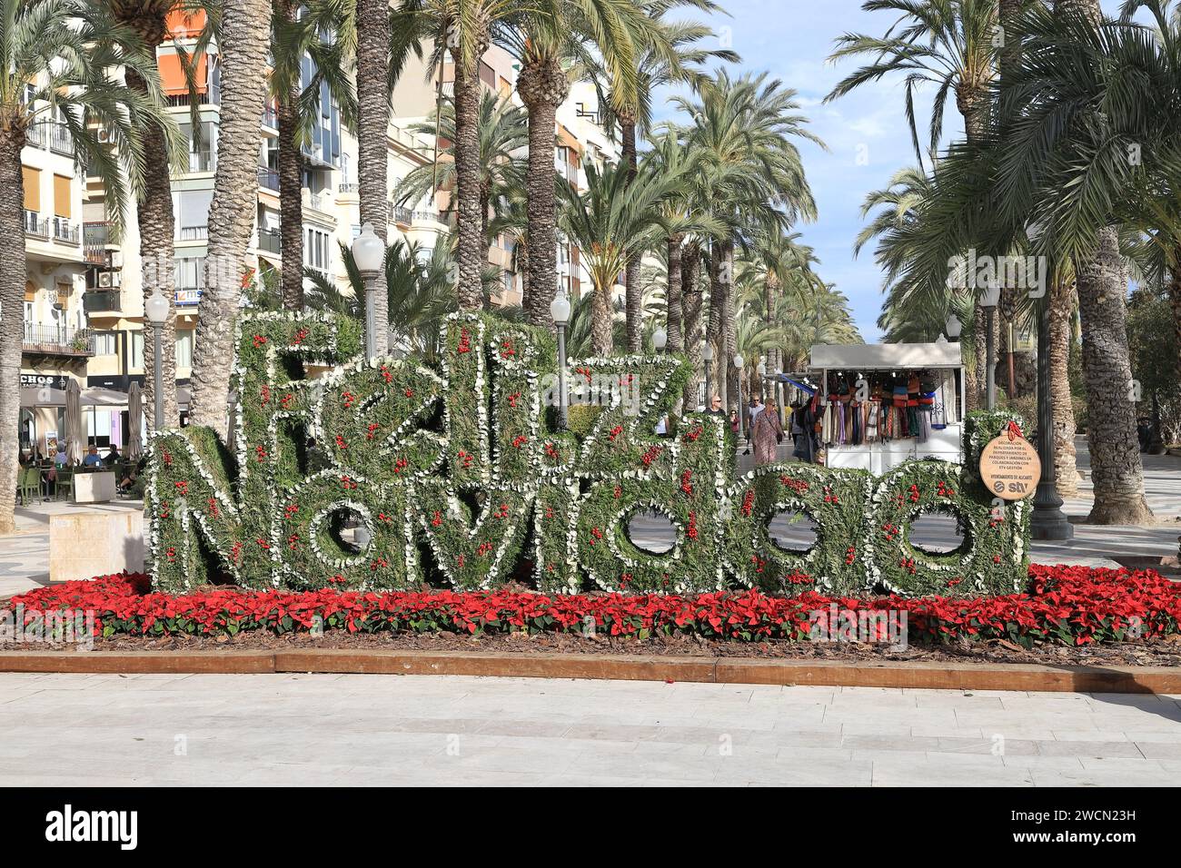 Eine Feliz Nazidad Pflanzendekoration ziert das Ende der Explanada Promenade. Alicante ist ein wichtiges Touristenziel im Südosten Spaniens. Stockfoto