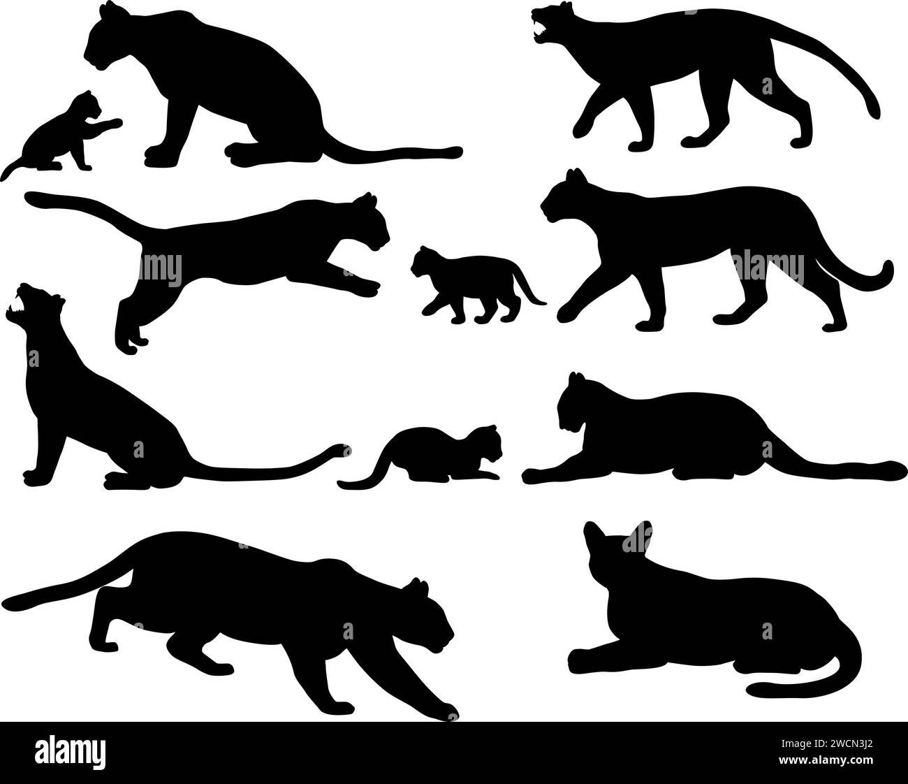 Sammlung von Silhouetten von Pumas, auch Pumas oder Berglöwen genannt, und ihrer Jungen Stock Vektor