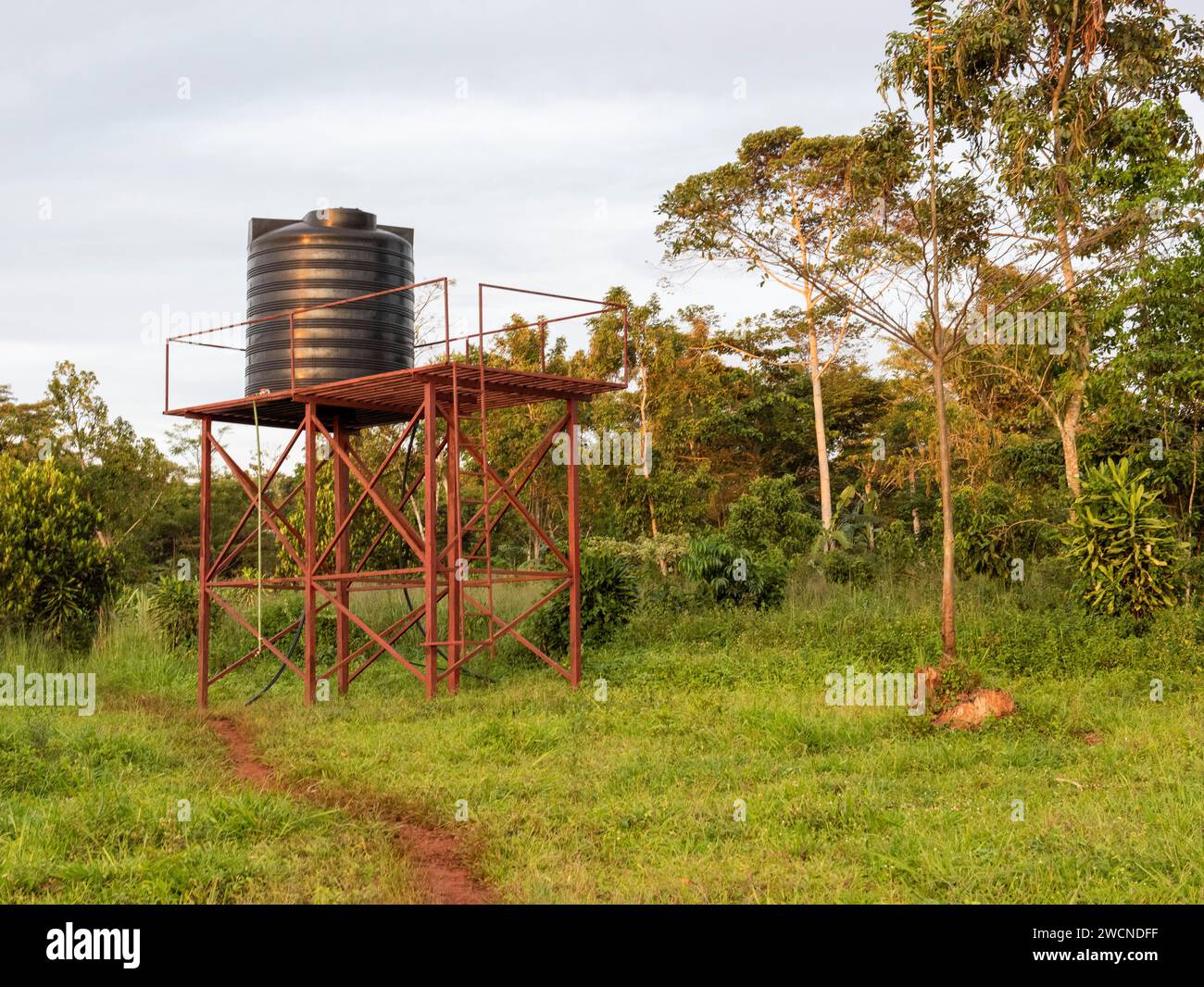 Uganda, Bezirk Mukono. Ein neu gebauter Wassertank kommt der örtlichen Gemeinde zugute. Stockfoto