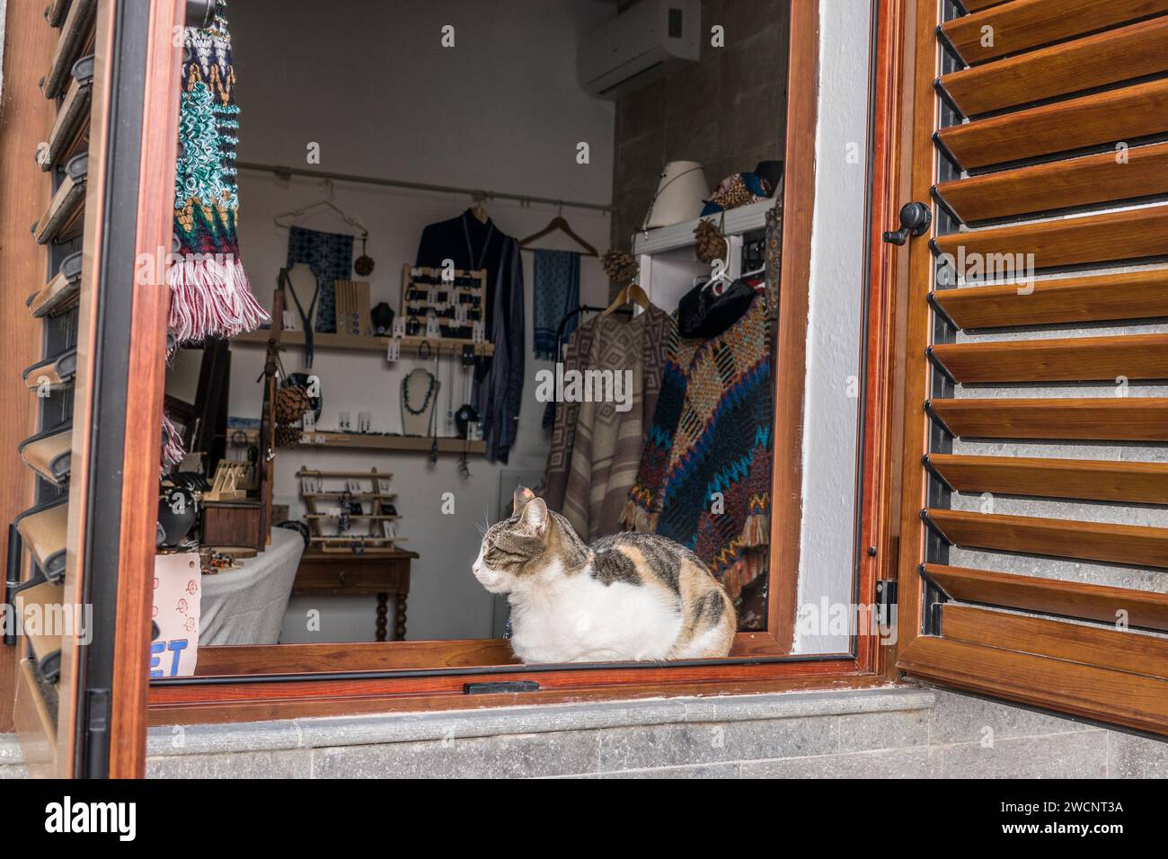 Katze schläft auf der Festerbank eine Geschäfts mit Bekleidung und Accessoires, Fataga, Gran Canaria, Spanien Stockfoto