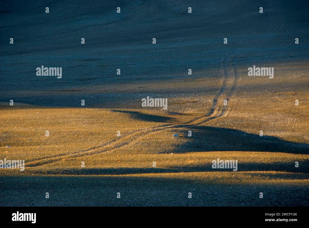 Two-Track am weißen Berg, Inyo National Forest, Kalifornien Stockfoto