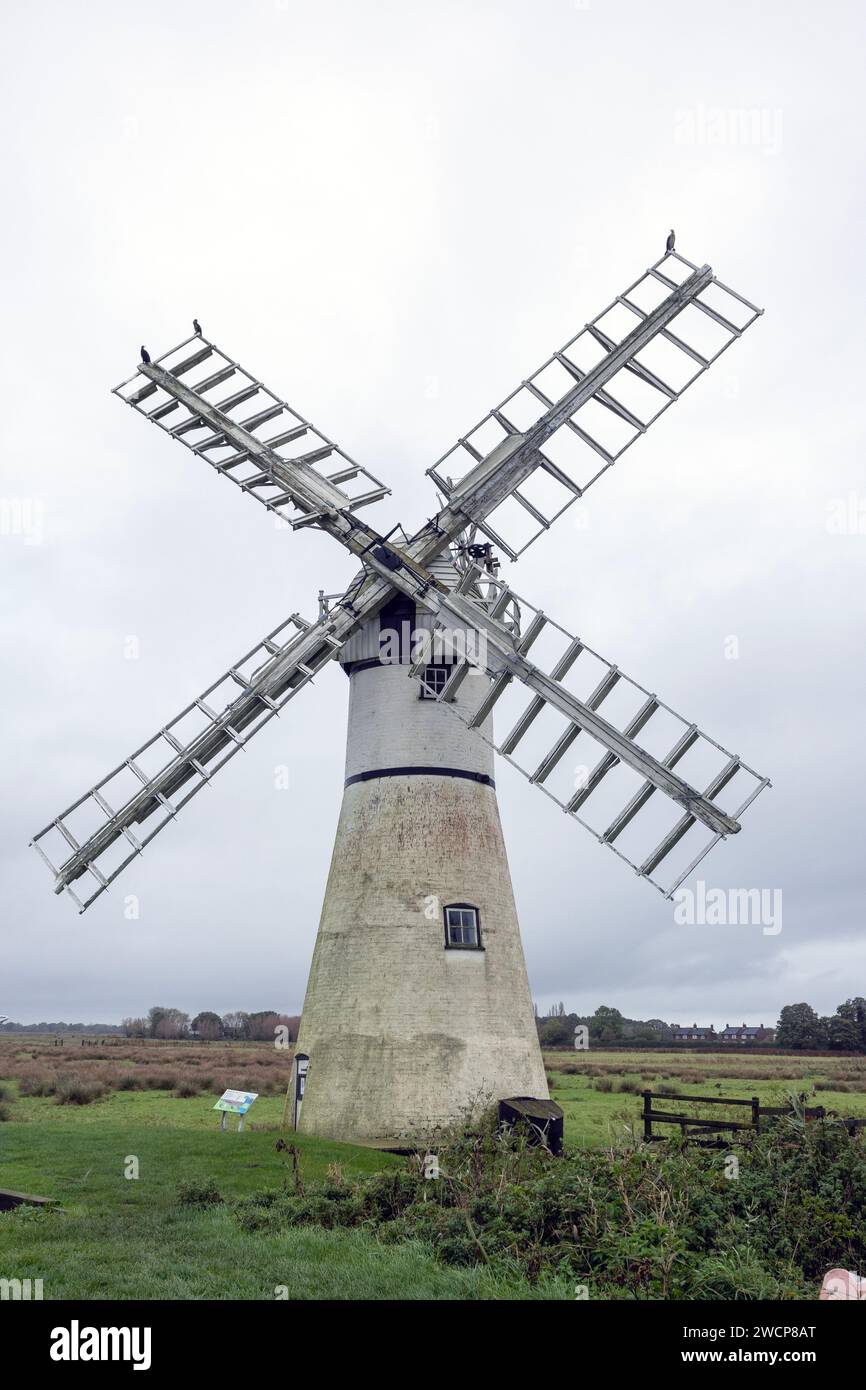 Horsey Windpumpe Norfolk Stockfoto