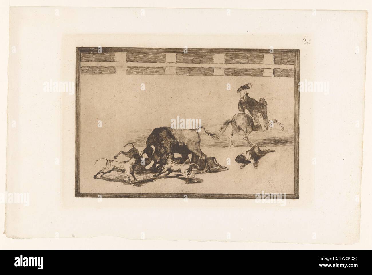 Stier von Hunden angegriffen, Francisco de Goya, 1876 Druck fünf Hunde greifen einen Stier in einer Arena an. Ein Hund ist auf dem Boden verwundet. Auf der rechten Seite ein Mann zu Pferd, auf dem Rücken gesehen. Oben rechts nummeriert: 25. Druckerei: Spainpublisher: Paris Paper Radiching Bullfight Stockfoto