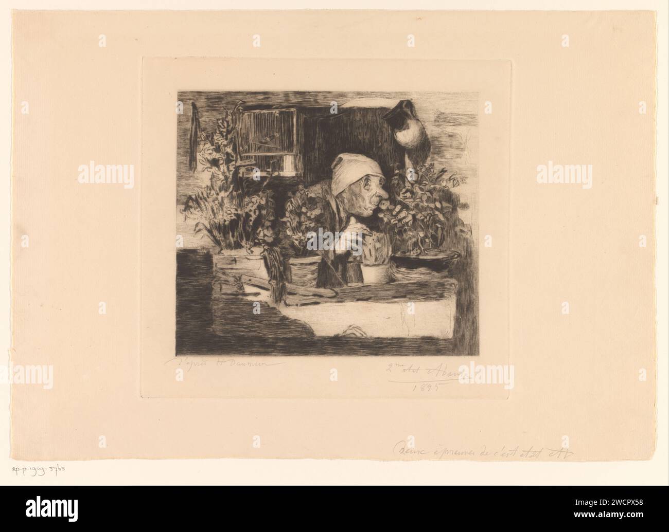 Alter Mann mit Schlafmütze riecht nach den Blumen in seiner Fensterbank, Auguste Danse, nach Honoré Daumier, 1895 Druckpapier Ätzen / Trockenpunkt riechen, riechen (einer der fünf Sinne). Alter Mann Stockfoto