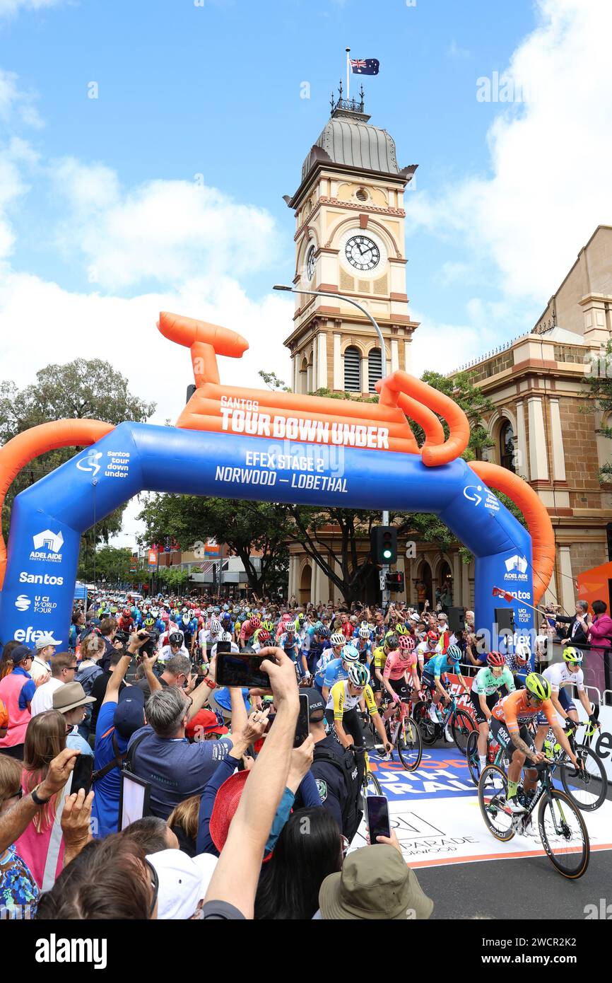 17. Januar 2024, Adelaide, Australien. Fahrer, die die Startlinie von Norwood auf der zweiten Etappe des 2024 Tour Down Under Cycling Race in Adelaide Australia verlassen Credit: Russell Mountford/Alamy Live News Stockfoto