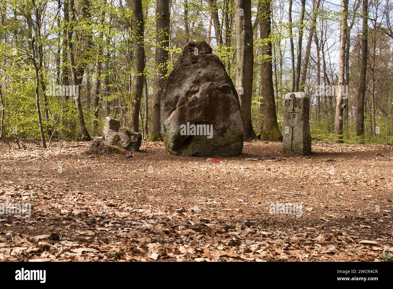 Steine im Hinkelstein-Denkmal an einem Frühlingstag im Pfälzerwald. Stockfoto