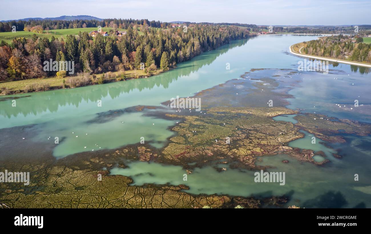 Ein idyllischer Fluss, der durch einen üppigen Wald fließt, schafft eine ruhige und malerische Szene Stockfoto