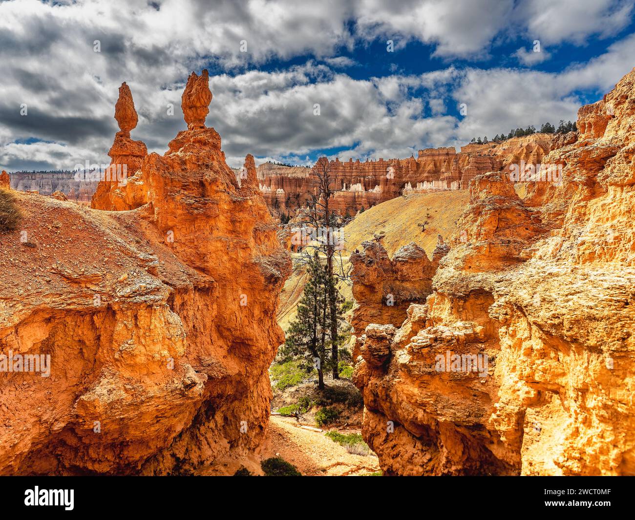 Bryce Canyon wiev in Utah, USA Stockfoto