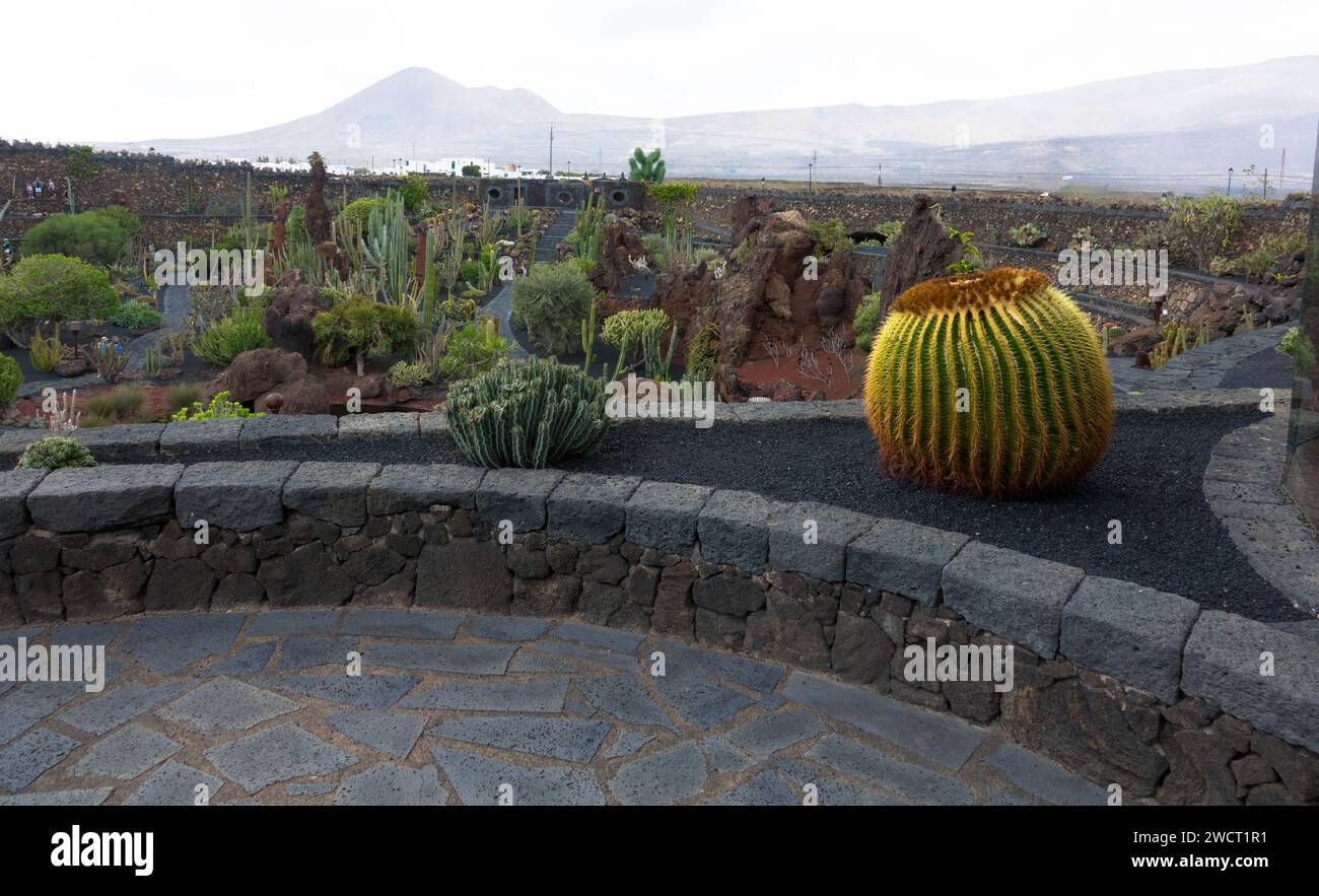 Der Jardín de Cactus ist ein Kaktusgarten im Norden von Guatiza an der Nordostküste Lanzarotes. Beliebte Touristenattraktion. Stockfoto