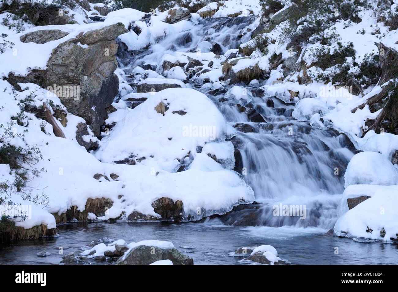 Eine ruhige Winterszene mit einem sanften Wasserfall, der zwischen schneebedeckten Felsen und kargem Grün fällt Stockfoto