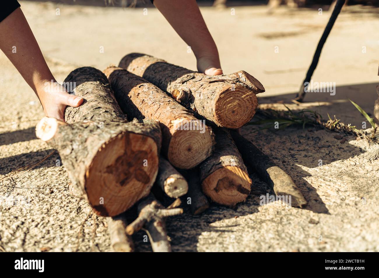 Nahaufnahme der Hände, die frisch geschnittene Baumstämme auf eine Betonoberfläche legen und die manuelle Arbeit im Freien zeigen Stockfoto