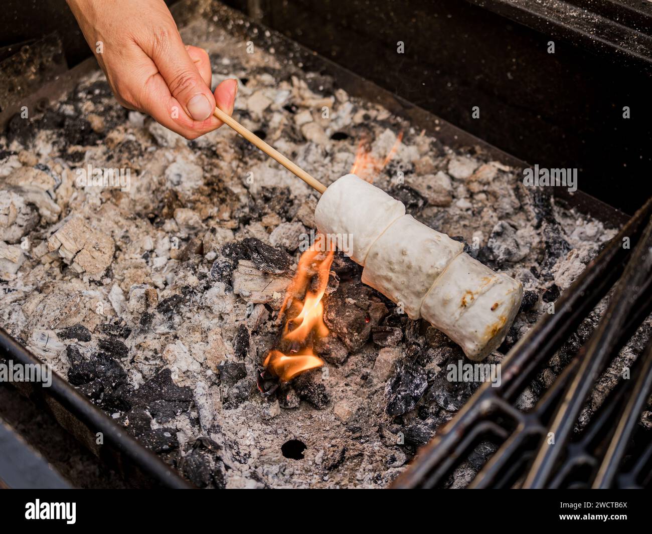Blick von oben auf eine nicht erkennbare Person, die Marshmallow auf Feuer in einer Holzkohlegrillmaschine mit Spießstab während des Picknicks röstet Stockfoto