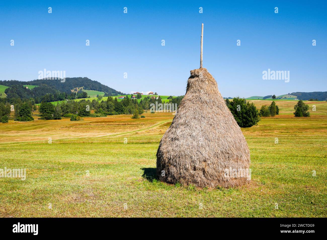 Traditioneller Heuhaufen 'Triste' im Moorgebiet Schwantenau, Kanton Schyz, Schweiz Stockfoto